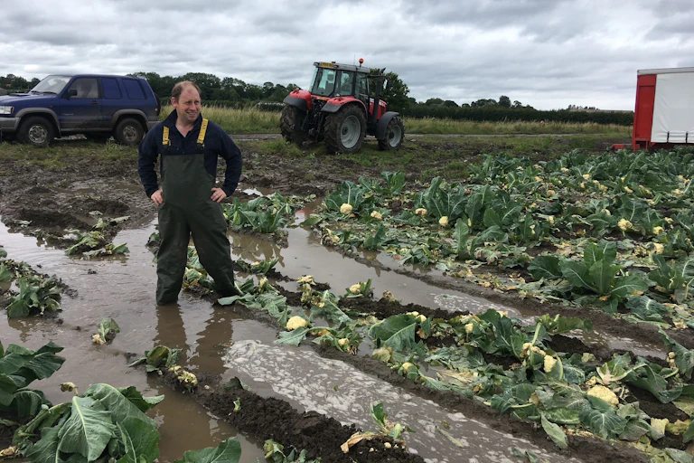 A farmer stands in muddy water that has inundated a farm field.