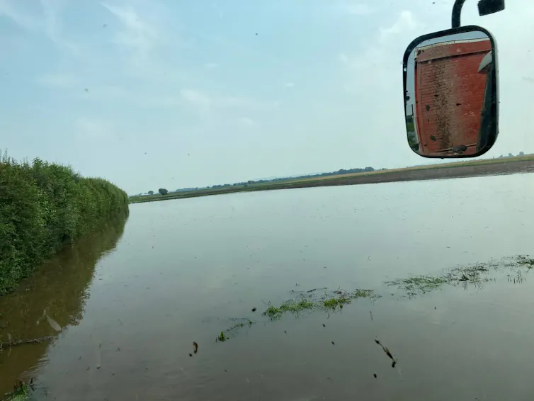 A flooded field.