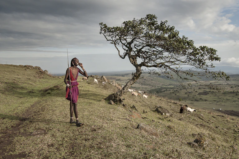 A man speaks on a mobile phone while herding animals against a background of rolling hills