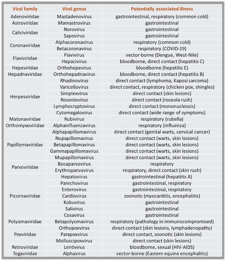 table listed viral family, viral genus, and potentially associated illness