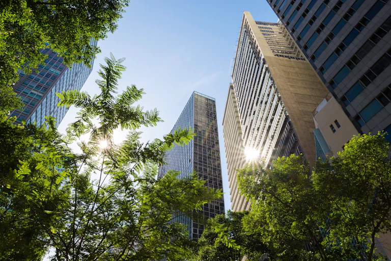 Office building with trees in front.