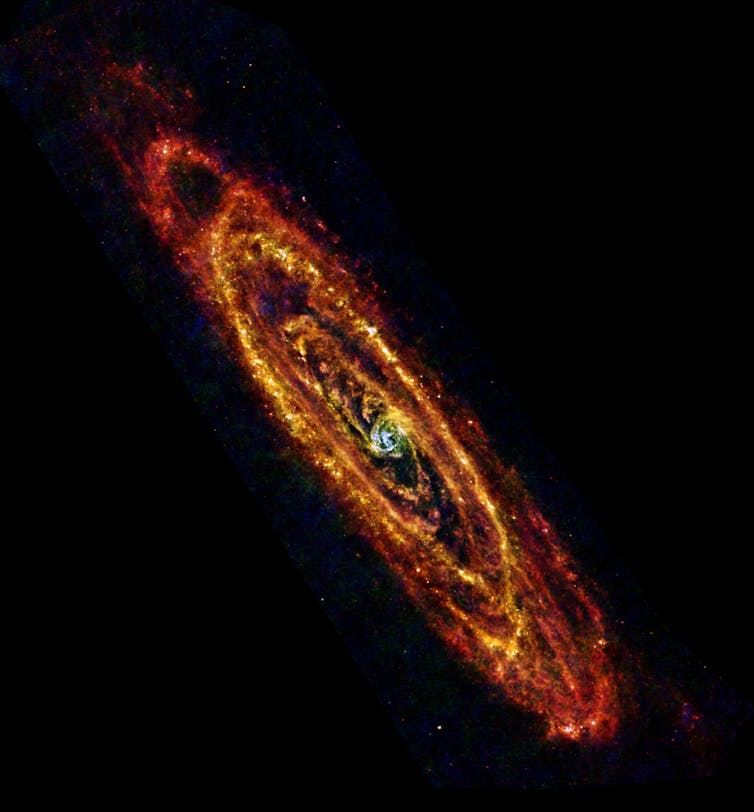 large orange spiral rings float against a black background