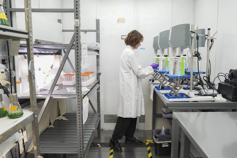 scientist conducts water testing in lab scientist conducts water testing in lab