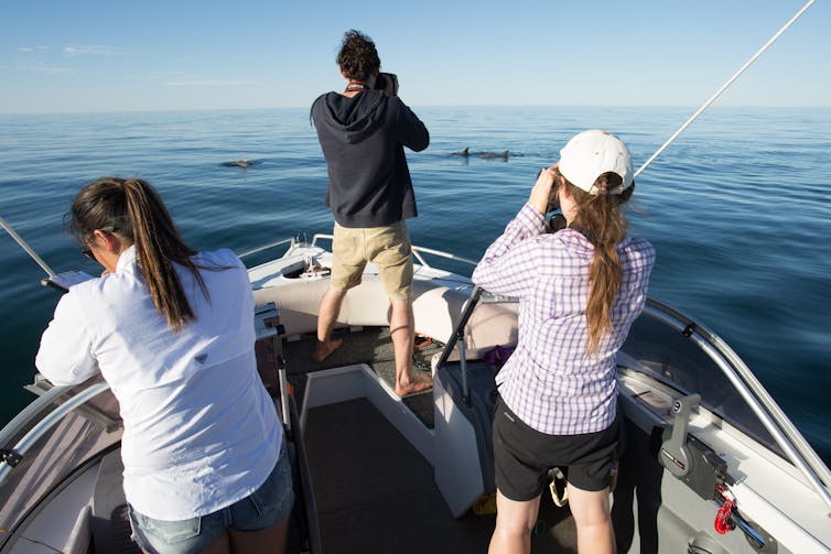 A photo of three people on a boat watching dolphins in the distance
