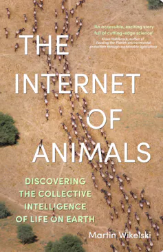 Cover of The Internet of Animals