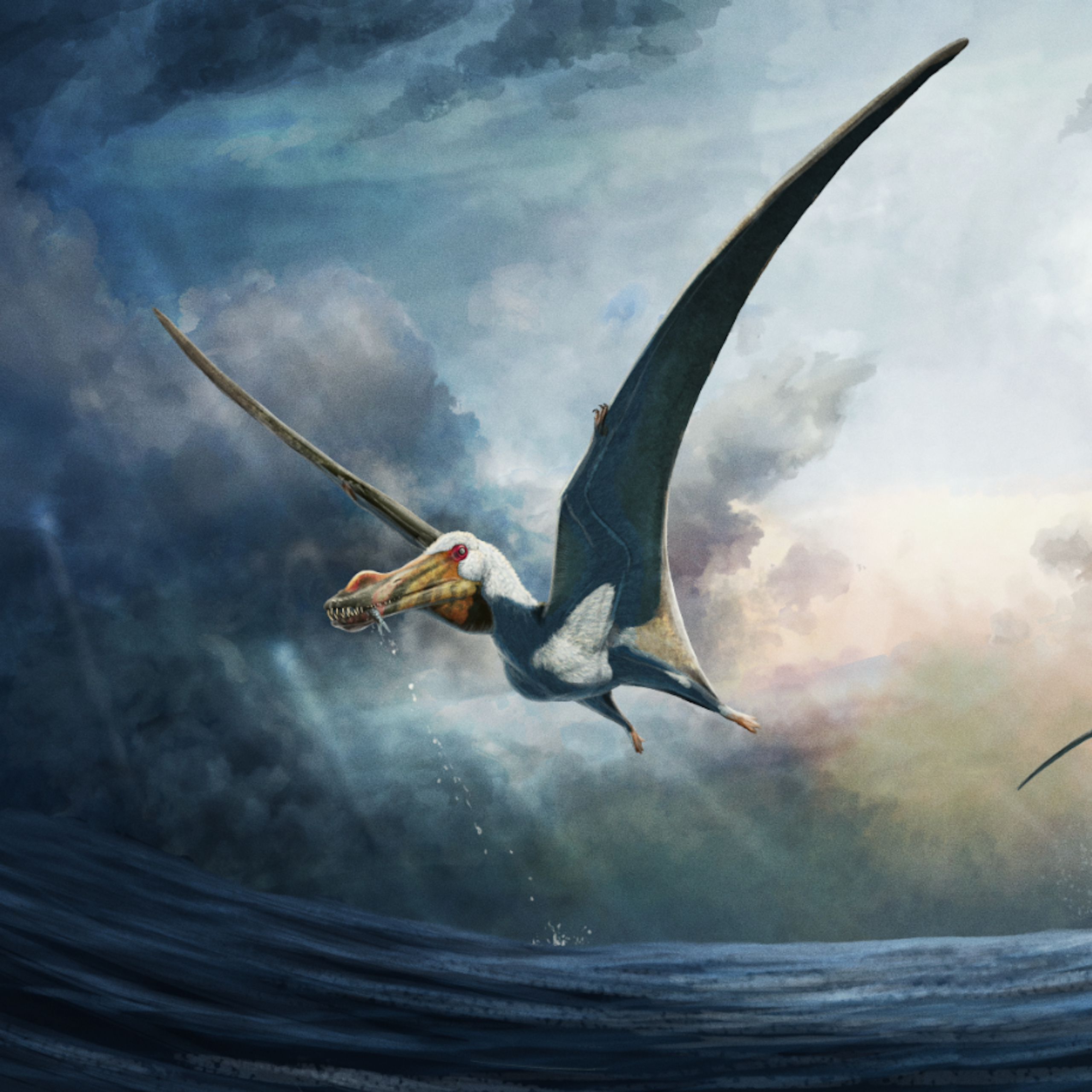Illustration of flying dinosaurs aloft above the sea.