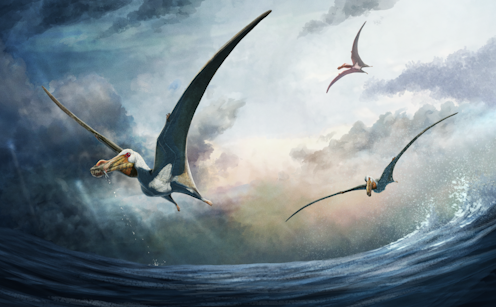 100-million-year-old fossil find reveals huge flying reptile that patrolled Australia’s inland sea