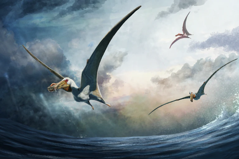 Illustration of flying dinosaurs aloft above the sea.