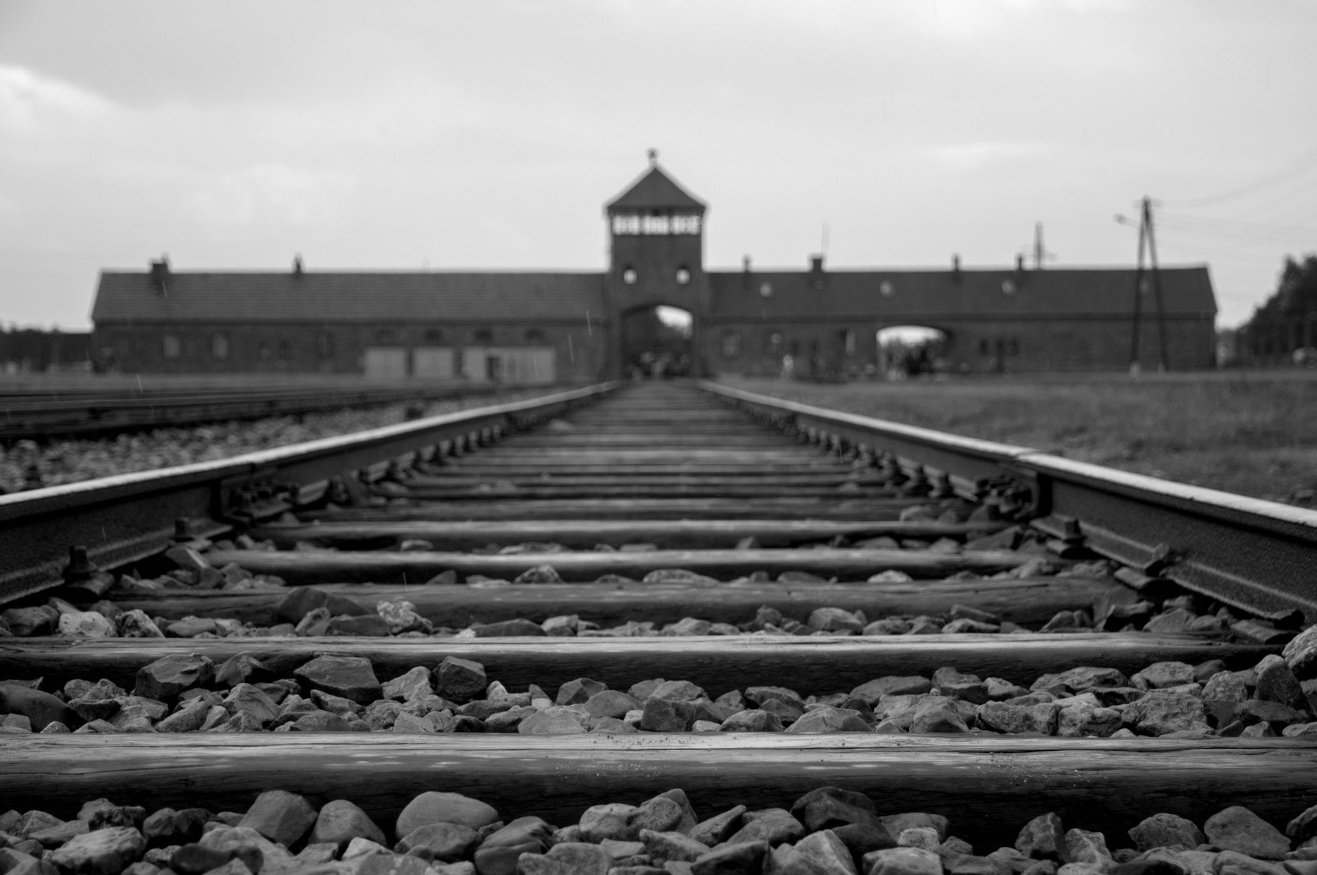 Train tracks to Auschwitz