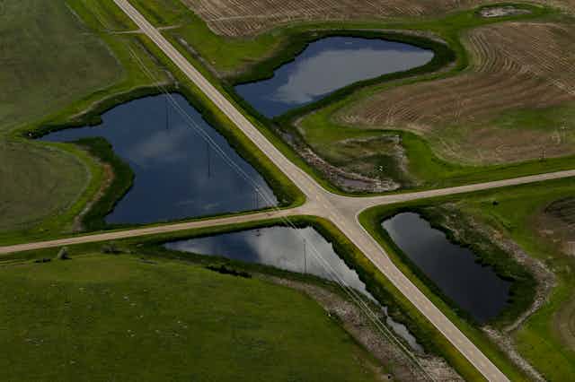 Two roads intersect, dividing a large pond into four smaller sections
