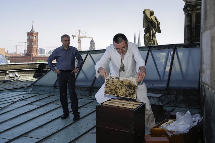 Two men stand on a roof next to a beehive.