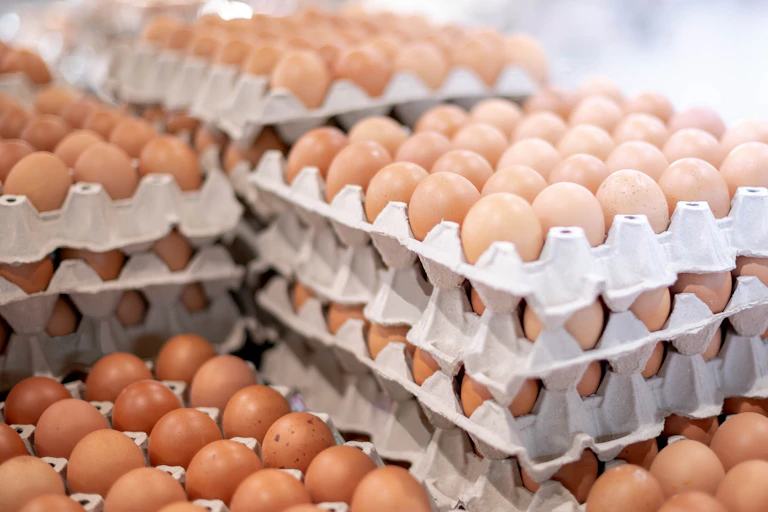 Large trays of fresh eggs stacked