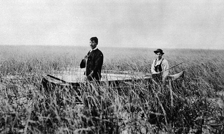 a black and white photo of two men in a canoe with tall rice plants around them