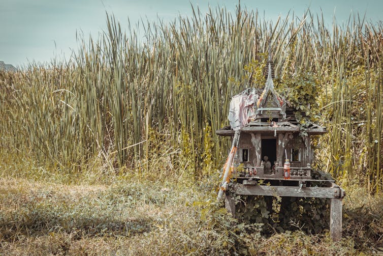 A small roadside shrine next to a field of crops.