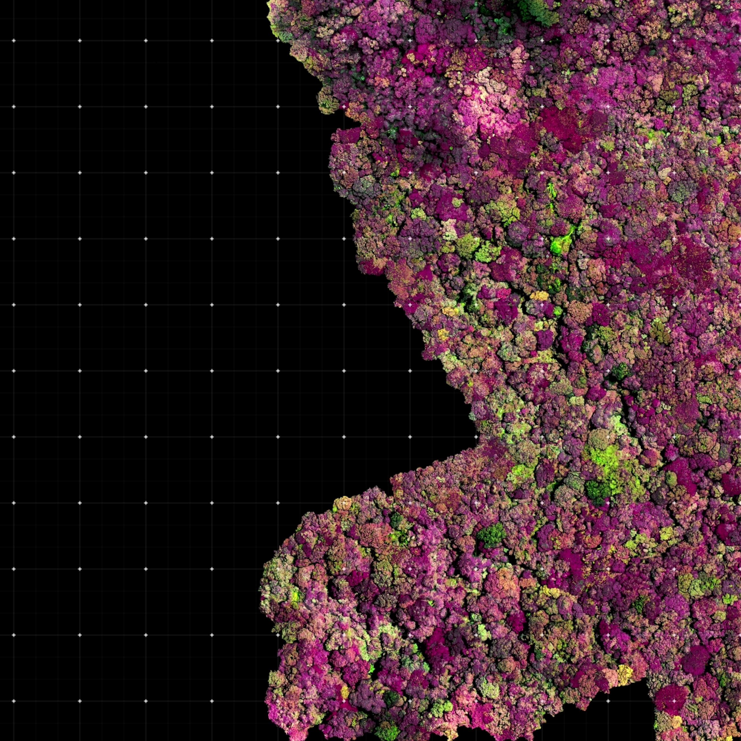 Aerial view of forest, plants highlighted in purple and green