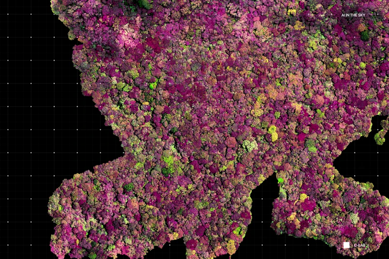 Aerial view of forest, plants highlighted in purple and green