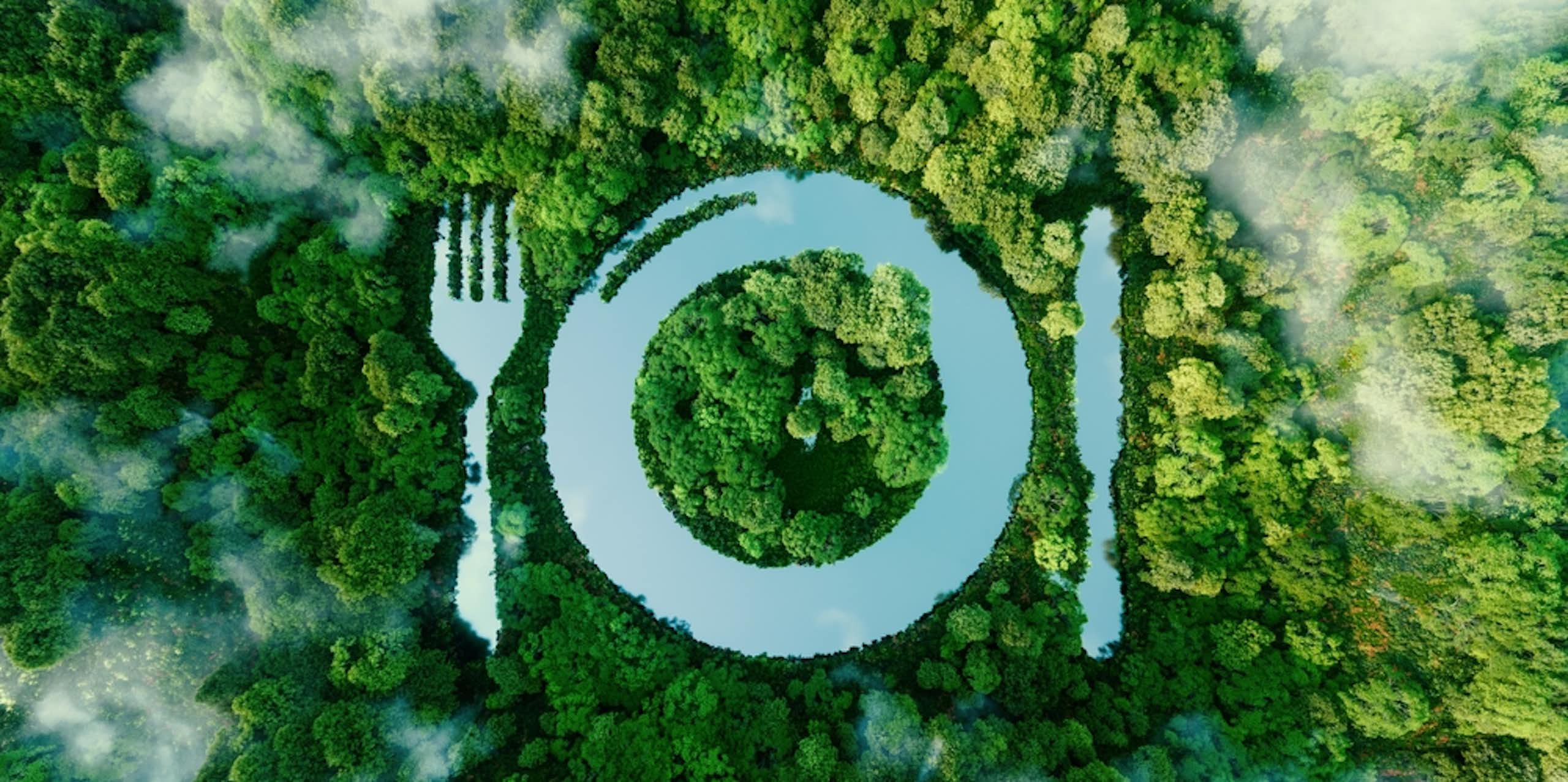Une assiette dessinée sur un paysage de forêt