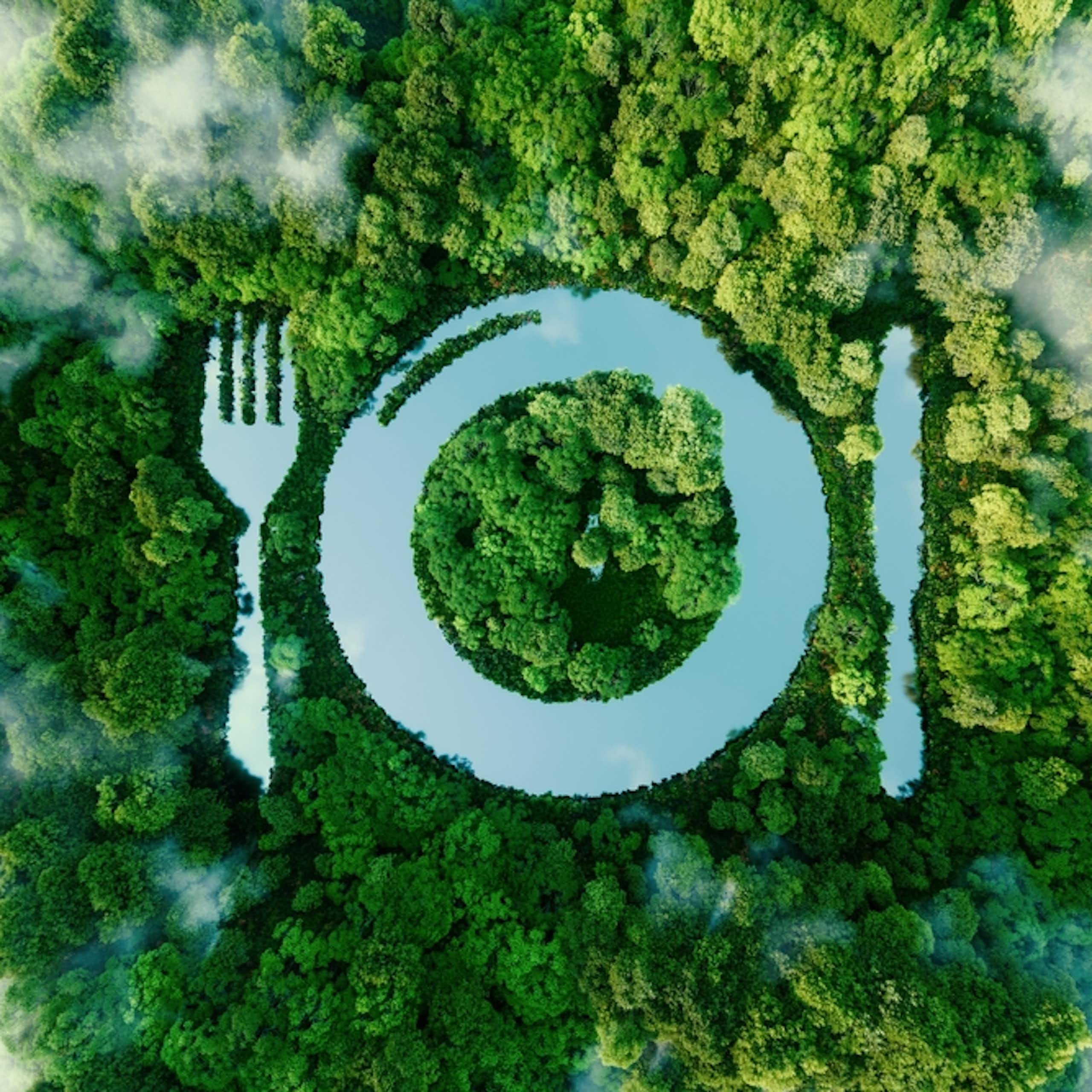 Une assiette dessinée sur un paysage de forêt