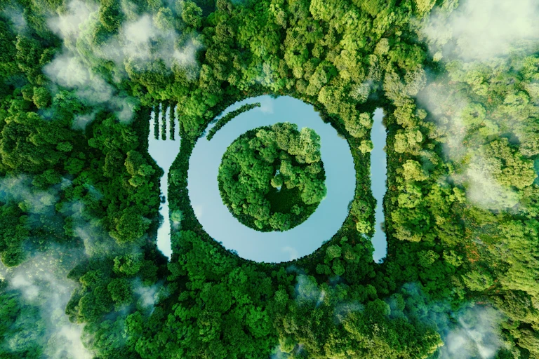Une assiette dessinée sur un paysage de forêt