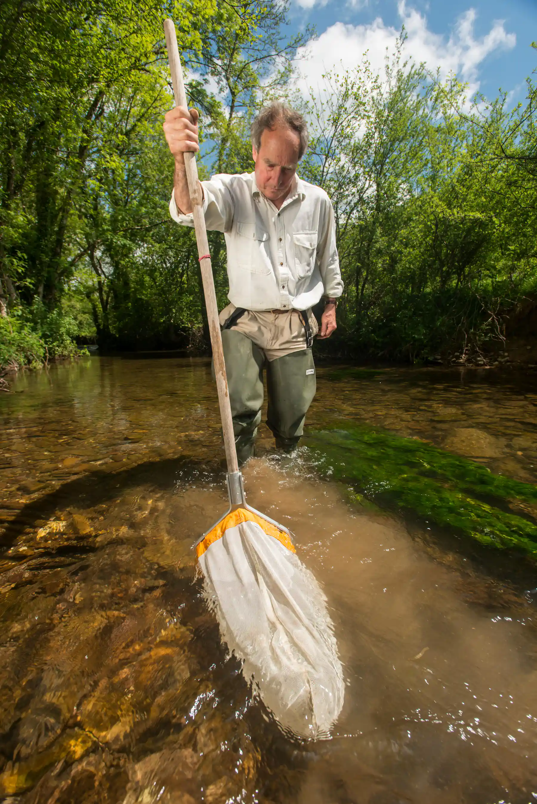 Kick Sample Net How DNA analysis of our rivers and lakes can reveal new secrets about ...