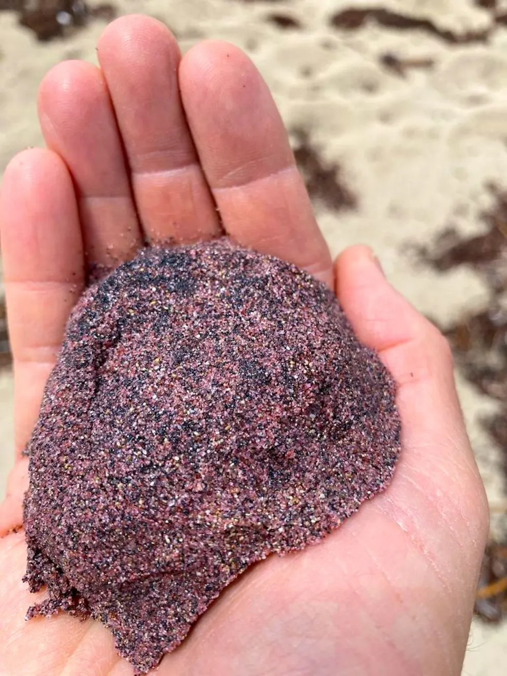 South Australia’s enigmatic pink sand was born in ice-covered Antarctic ...