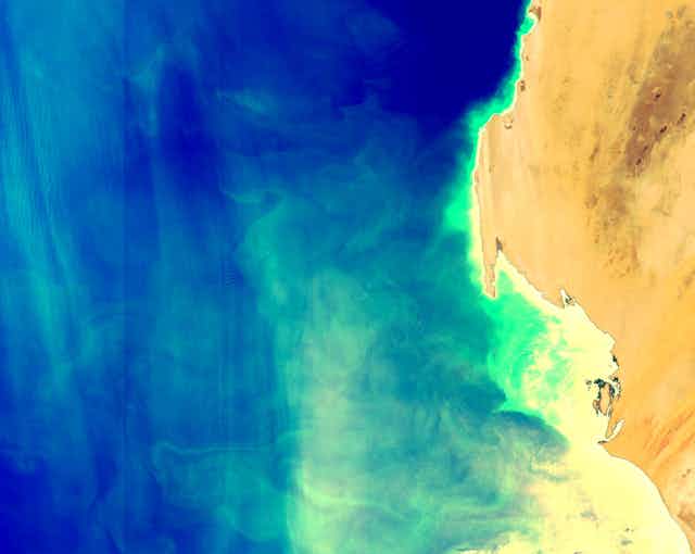 Upwelling near the coast of Mauritania, the colours indicate the concentration of chlorophyll, the pigment that phytoplankton use for photosynthesis. 