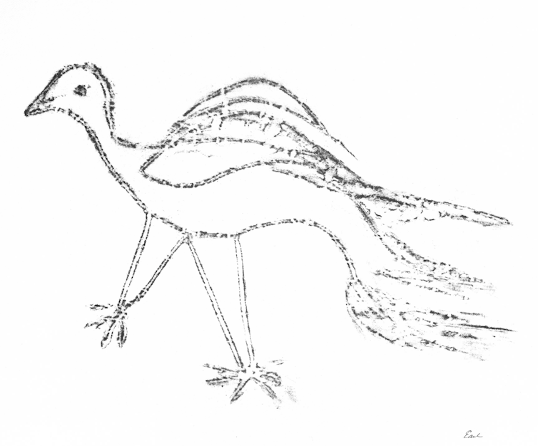 black outline of a simple sketch of a bird.