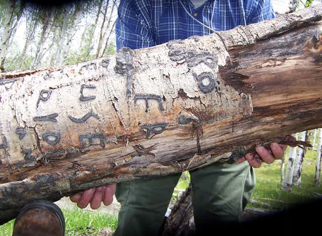 hands supporting a horizontal trunk with etchings visible in peeling bark