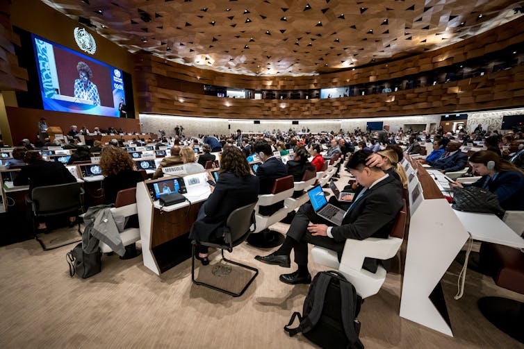 Delegates attending the WHO's World Health Assembly in Geneva.