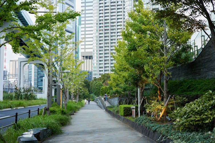 A road with skyscrapers in the background with greenery all along it
