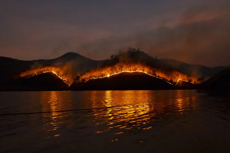 forest fires near a lake