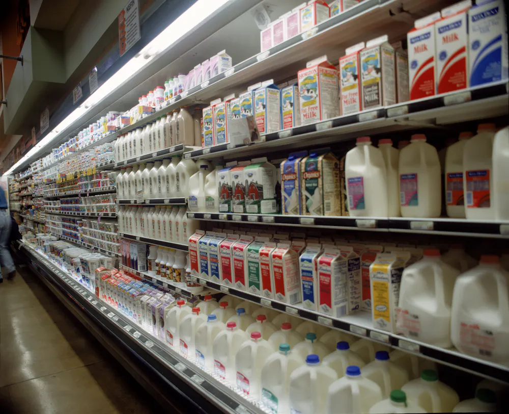 Raw Milk Health Risks Raw milk health risks significantly outweigh any potential benefits − ...