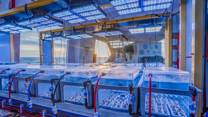 many clear aquaria with coral samepls in them on a large vessel with the sun low in the sky