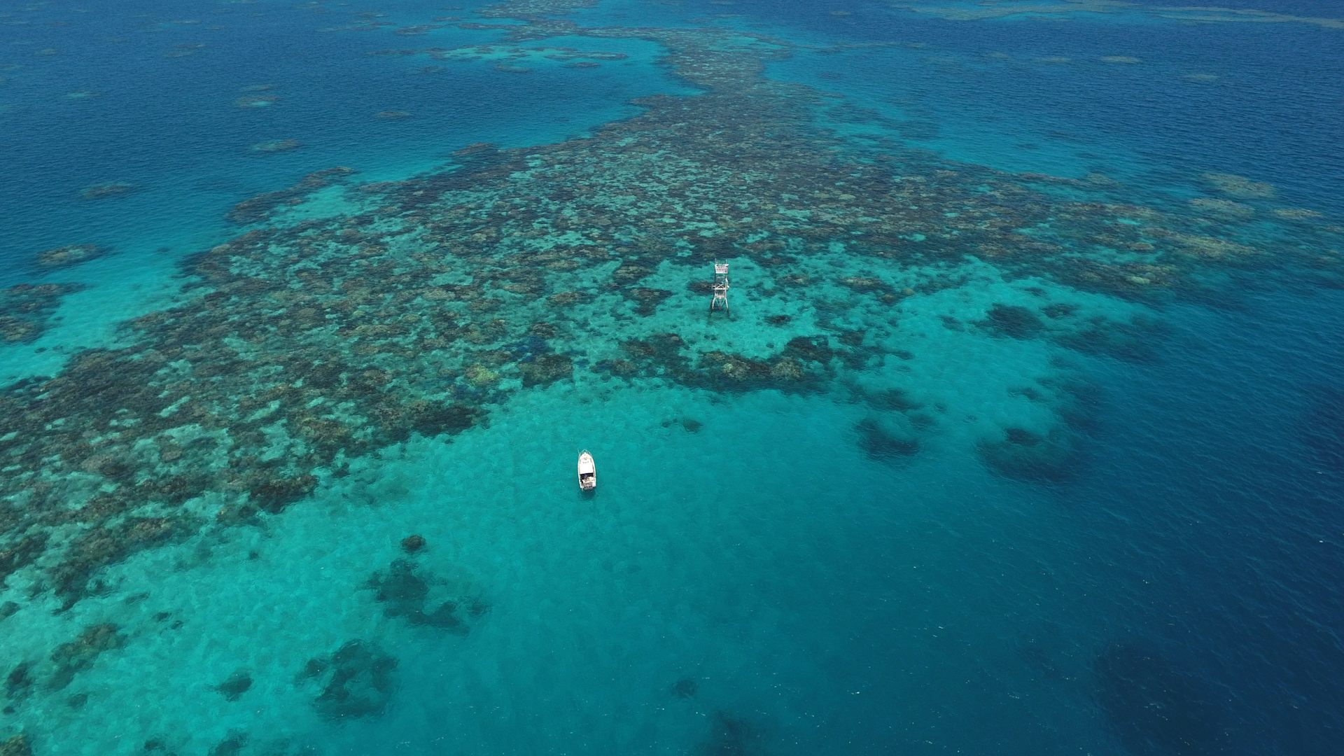 aerial view of coral reef