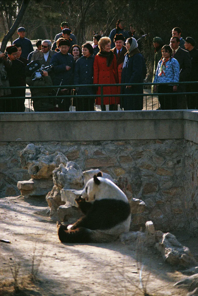 First Lady Pat Nixon looking at a panda in a Beijing Zoo in 1972.