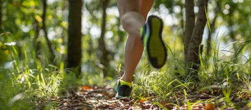 Olympic swimmers improving by … running? How exploration can help elite athletes and weekend warriors alike