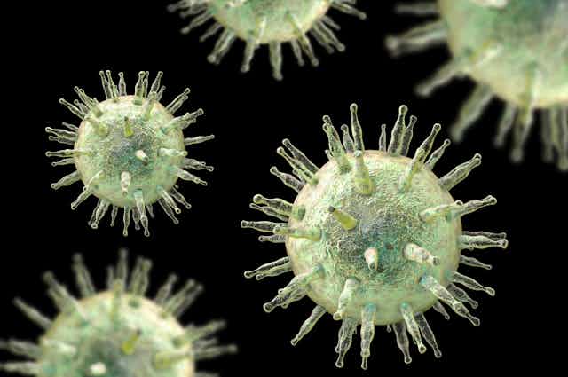 A digital depiction of Epstein-Barr virus as it would appear under a microscope.