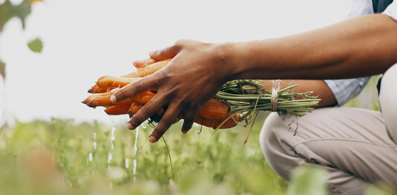 Constitutionnaliser le droit à l’alimentation : de quoi parle-t-on ? Constitutionnaliser le droit à l’alimentation : de quoi parle-t-on ?