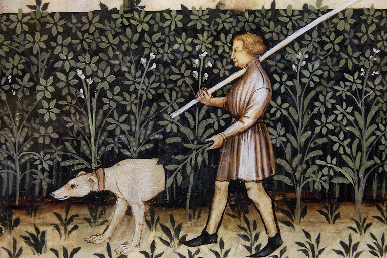 Illustration of a boy and a dog walking through a crop field