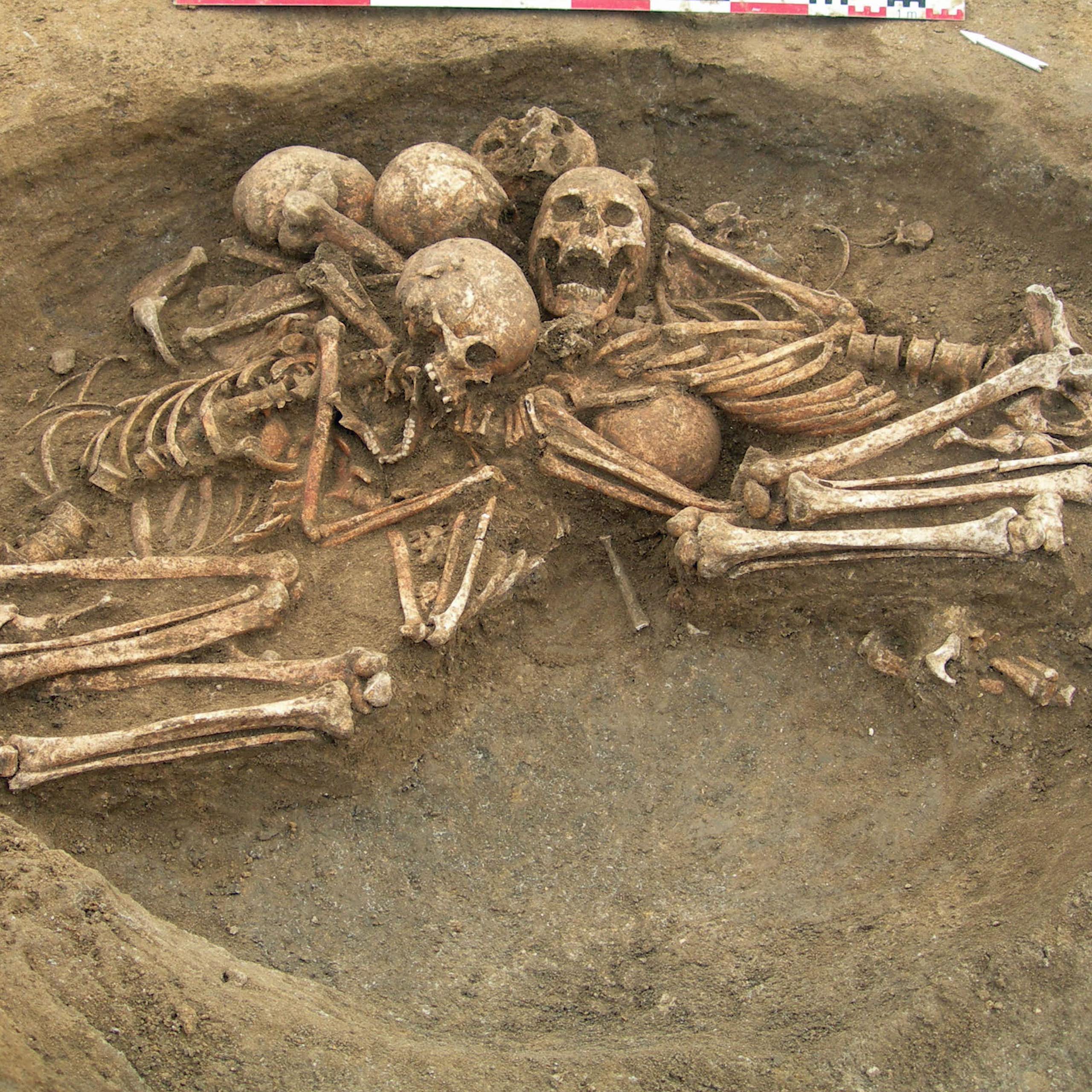 La tombe collective de Bréviandes les Pointes, près de Troyes, dont tous les squelettes ont vu leur génome séquencé.
