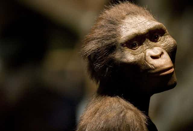 A sculpted head of an ape-like creature with its head angled to the side, gazing off into the distance.