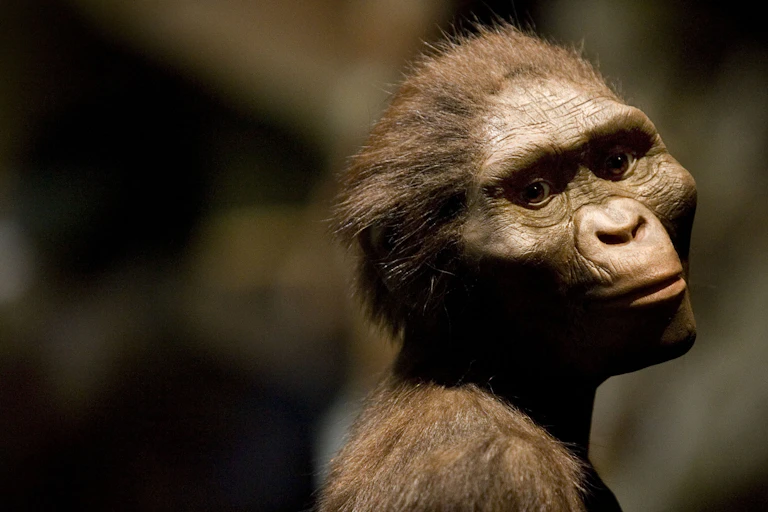 A sculpted head of an ape-like creature with its head angled to the side, gazing off into the distance.