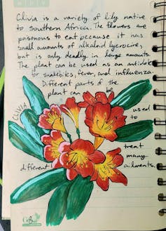 A brightly colored stem of orange and yellow flowers with green leaves sits on a notebook page with a handwritten description on the back.