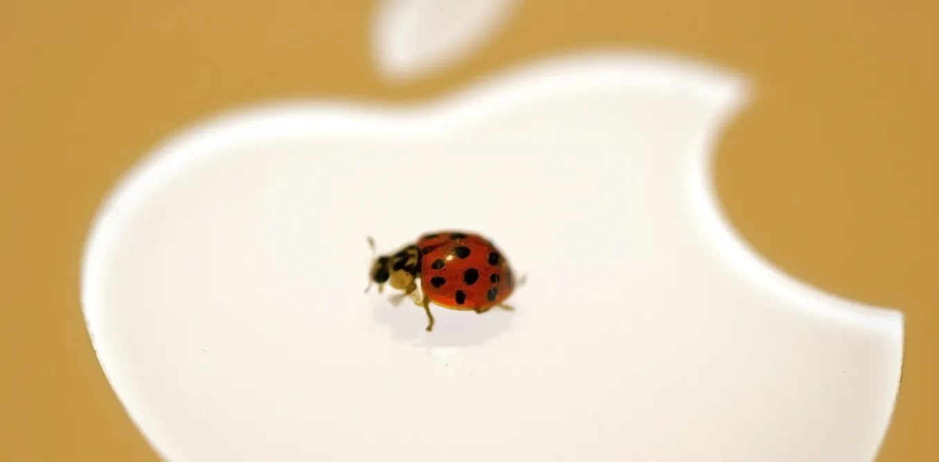 Shellbug App Shell shocked – but what should you do about the Bash bug?