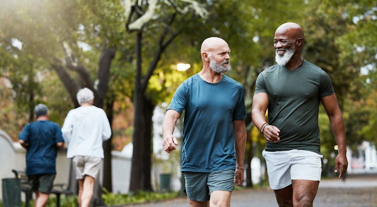 Two men walking and talking in a park.