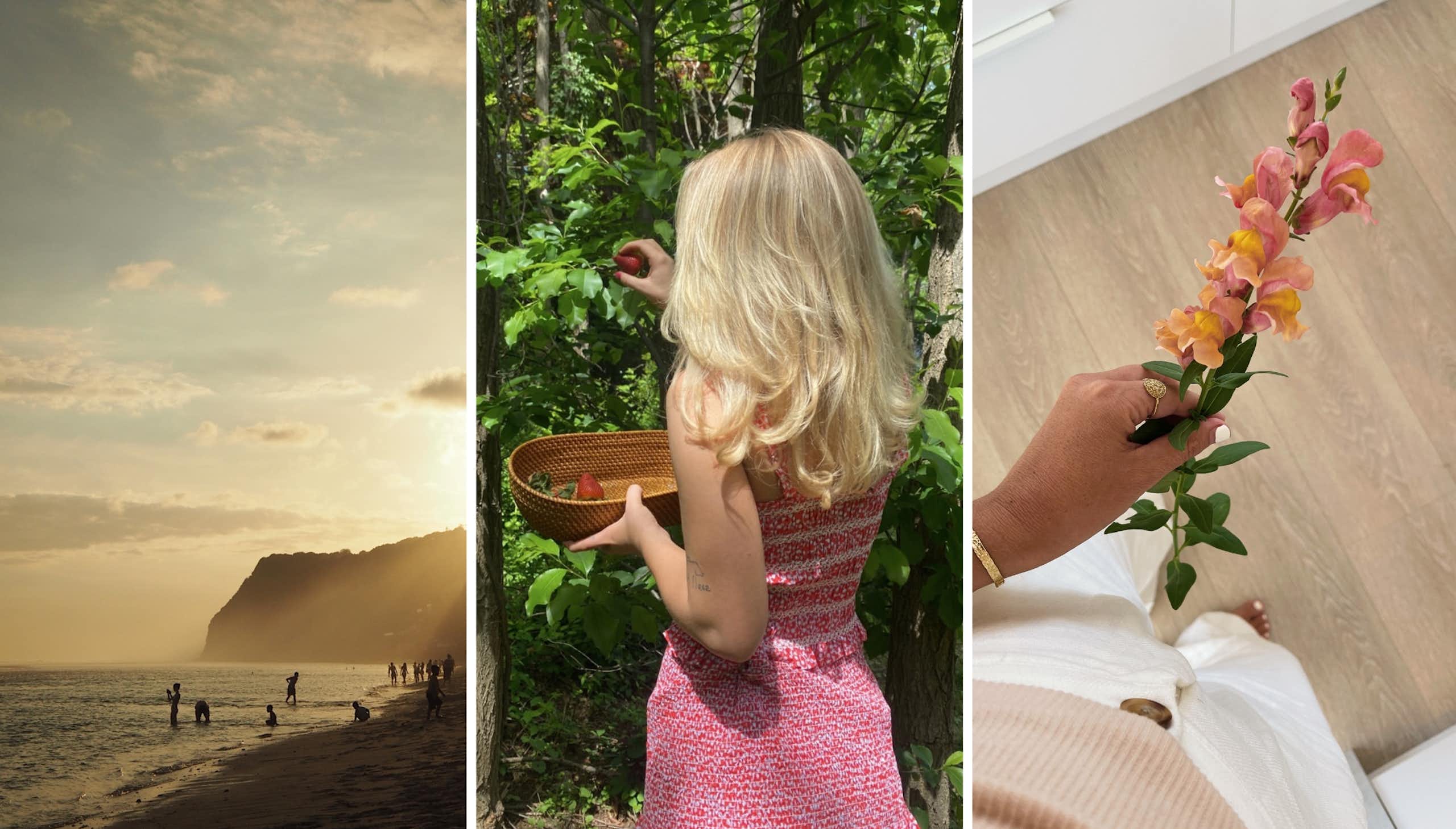Three photos, one of a beach at sunset, one of a girl picking strawberries and one of a hand holding a flower. 