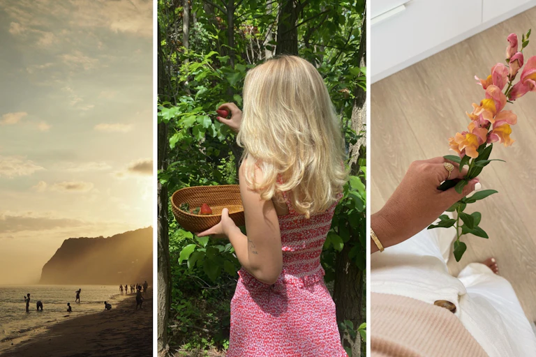 Three photos, one of a beach at sunset, one of a girl picking strawberries and one of a hand holding a flower.