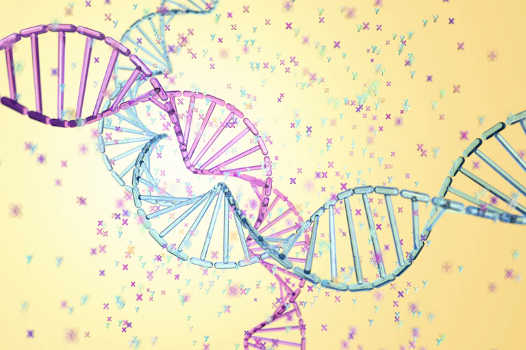 Illustration of one pink and one blue DNA helices intertwining, with pink X's and blue Y's floating around the background