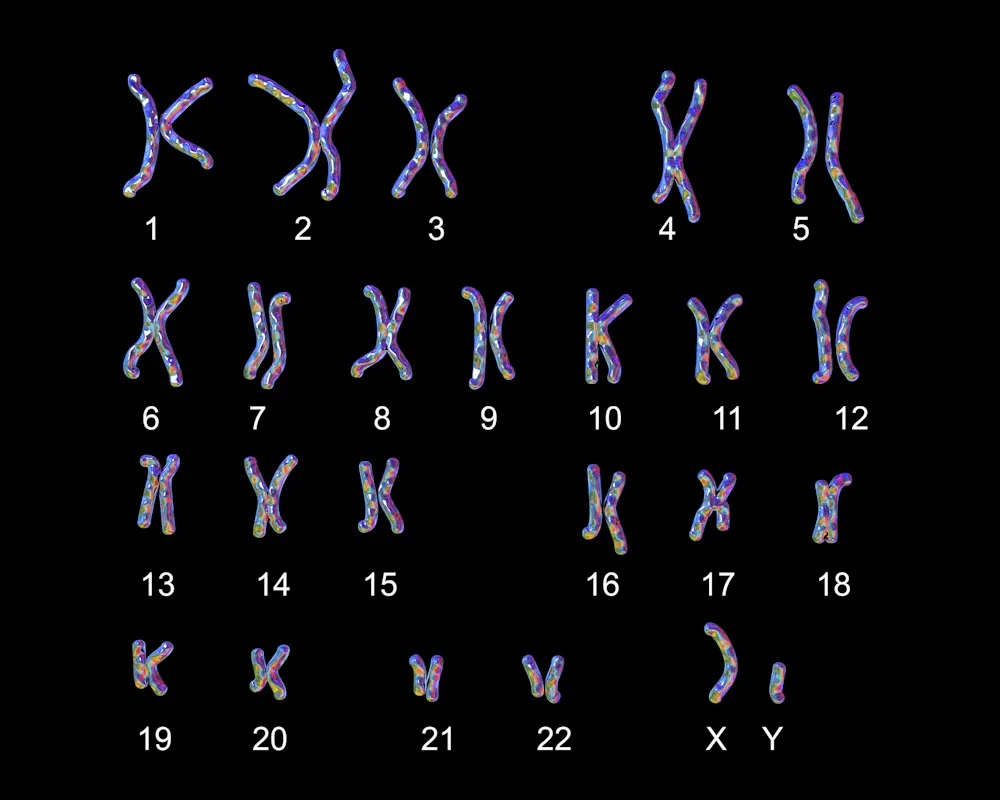 Genetic testing cannot reveal the gender of your baby two genetic counselors explain the complexities of sex and gender Genetic testing cannot reveal the gender of your baby two genetic counselors explain the complexities of sex and gender