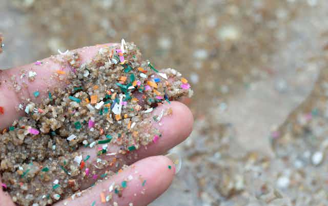 Close-up image of hands shows microplastic waste in beach sand.